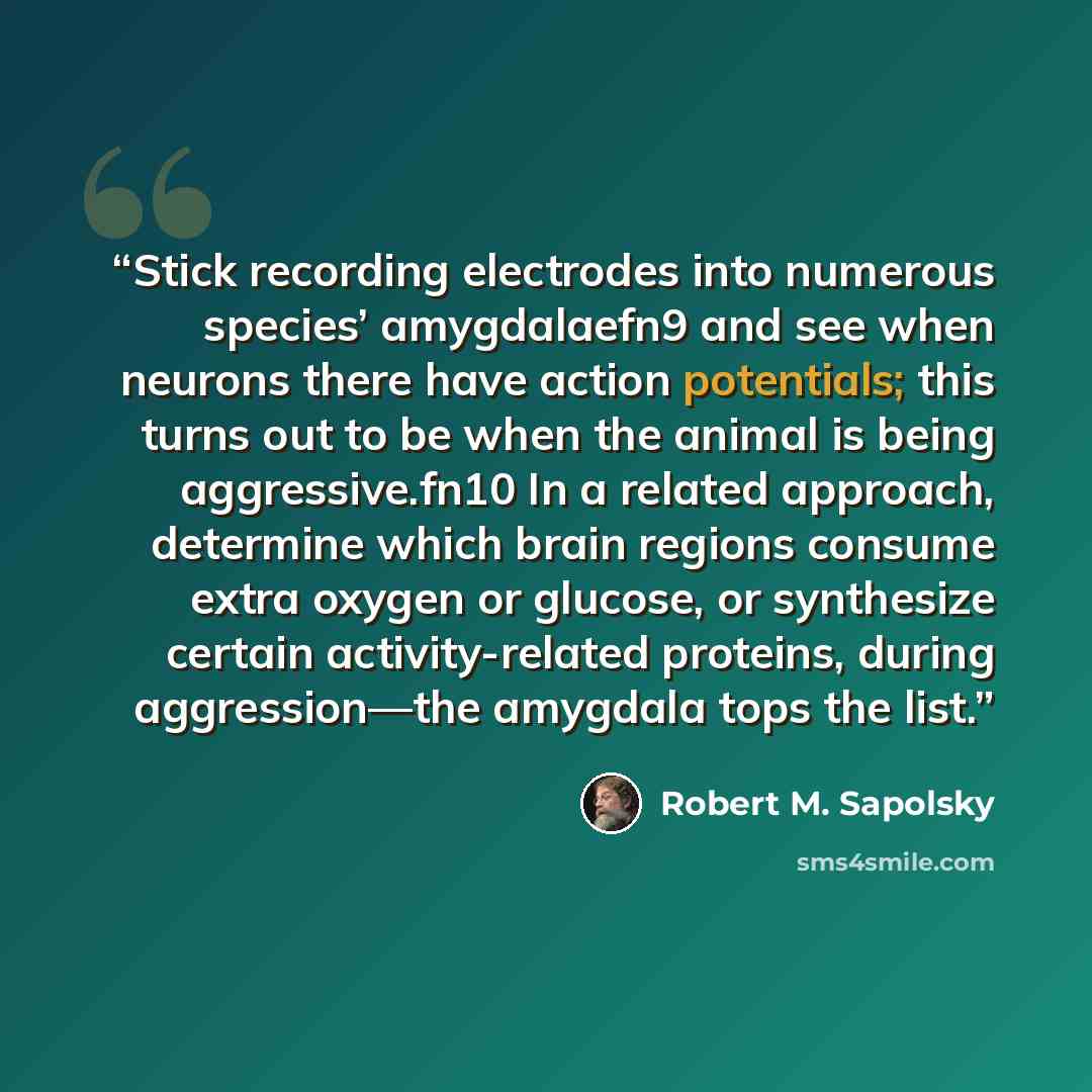 “Stick recording electrodes into numerous species’ amygdalaefn9 and see when neurons there have action potentials; this turns out to be when the animal is being aggressive.fn10 In a related approach, determine which brain regions consume extra oxygen or glucose, or synthesize certain…” quote by Robert M. Sapolsky