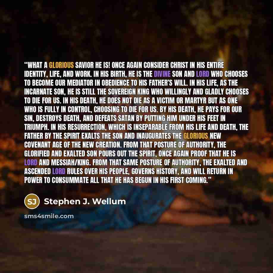“What a glorious Savior he is! Once again consider Christ in his entire identity, life, and work. In his birth, he is the divine Son and Lord who chooses to become our Mediator in obedience to his Father’s will. In his life, as the incarnate Son, he is still the sovereign King who willingly and…” quote by Stephen J. Wellum