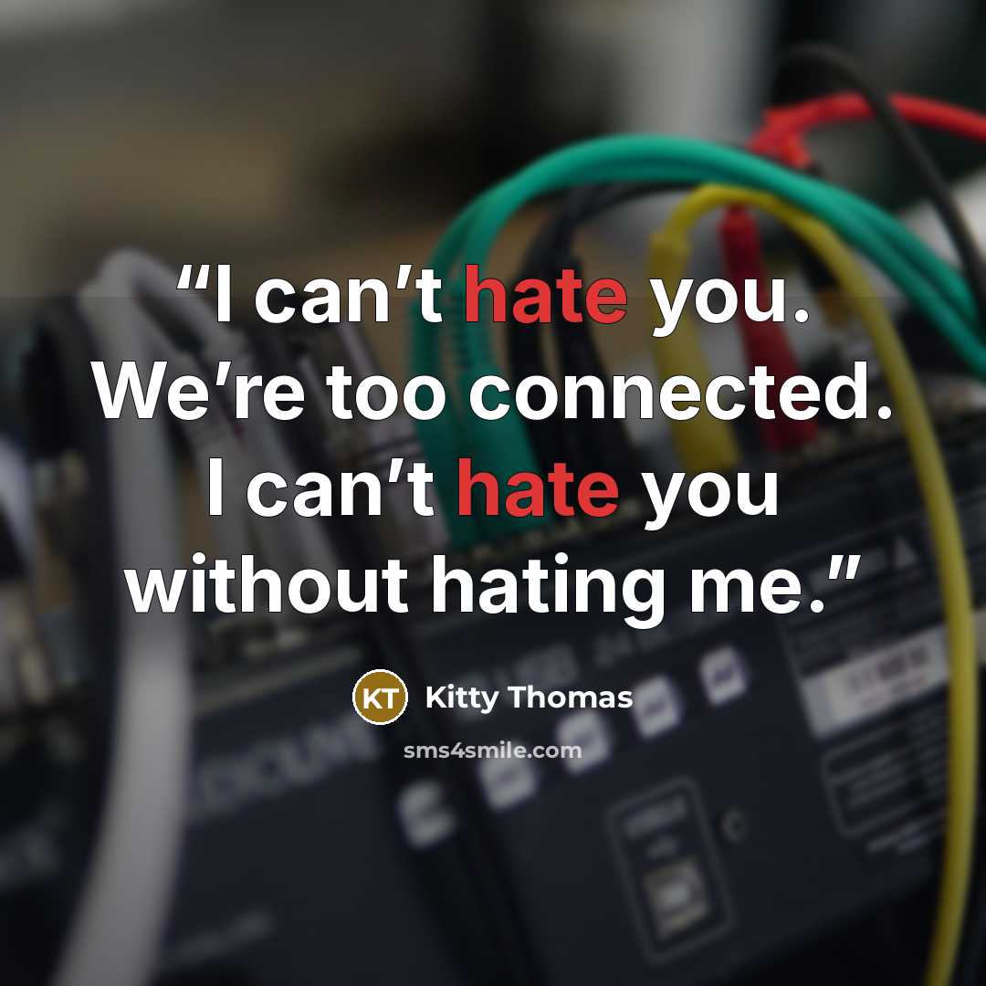 “I can’t hate you. We’re too connected. I can’t hate you without hating me.” quote by Kitty Thomas