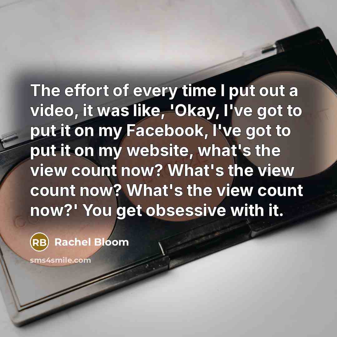 “The effort of every time I put out a video, it was like, 'Okay, I've got to put it on my Facebook, I've got to put it on my website, what's the view count now? What's the view count now? What's the view count now?' You get obsessive with it.” quote by Rachel Bloom