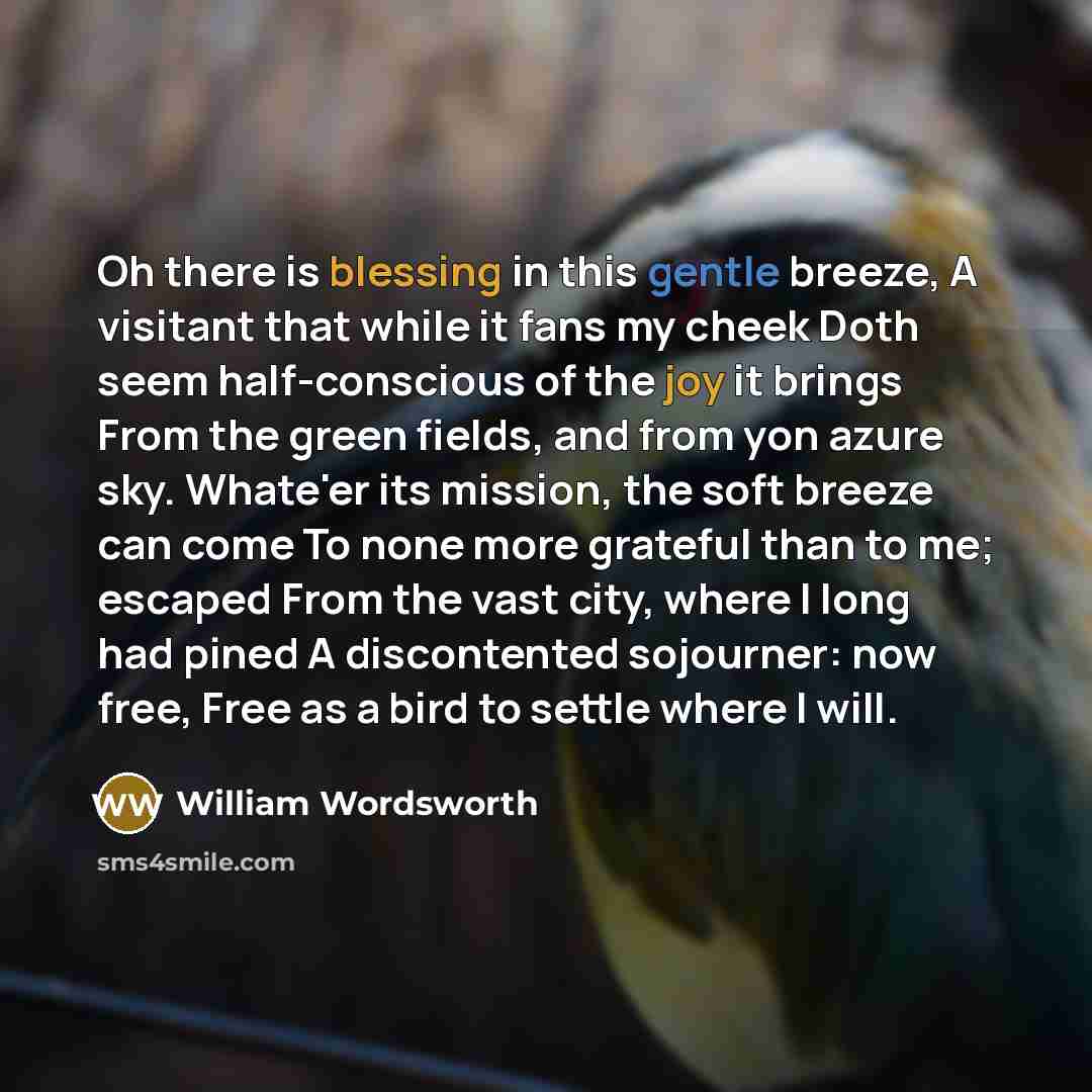 “Oh there is blessing in this gentle breeze, A visitant that while it fans my cheek Doth seem half-conscious of the joy it brings From the green fields, and from yon azure sky. Whate'er its mission, the soft breeze can come To none more grateful than to me; escaped From the vast city, where I long…” quote by William Wordsworth