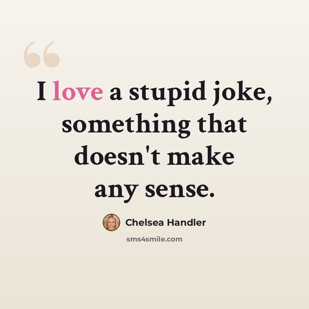 “I love a stupid joke, something that doesn't make any sense.” quote by Chelsea Handler