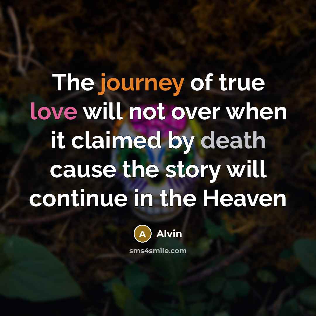 “The journey of true love will not over when it claimed by death cause the story will continue in the Heaven” quote by Alvin