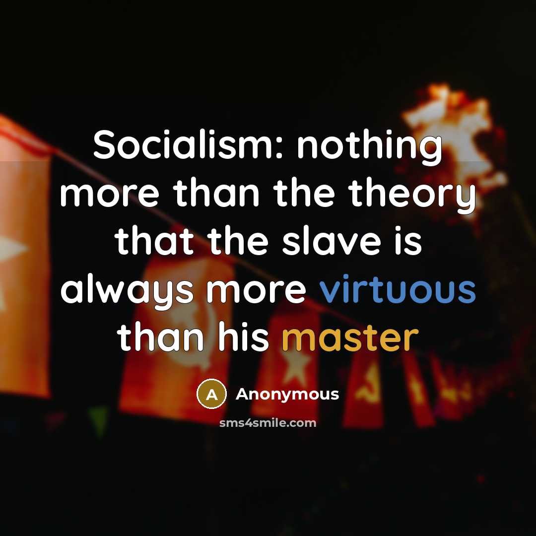 “Socialism: nothing more than the theory that the slave is always more virtuous than his master” quote by Anonymous
