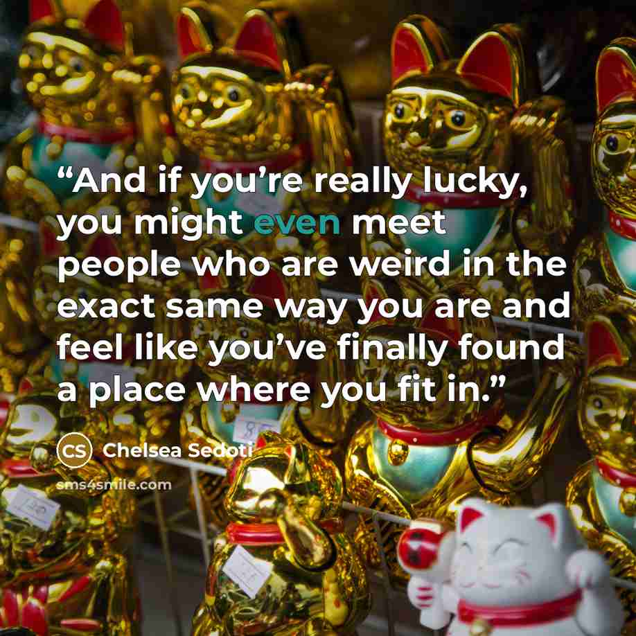 “And if you’re really lucky, you might even meet people who are weird in the exact same way you are and feel like you’ve finally found a place where you fit in.” quote by Chelsea Sedoti