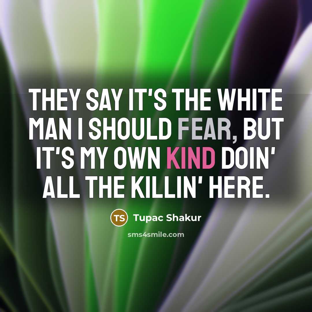 “They say it's the white man I should fear, But it's my own kind doin' all the killin' here.” quote by Tupac Shakur