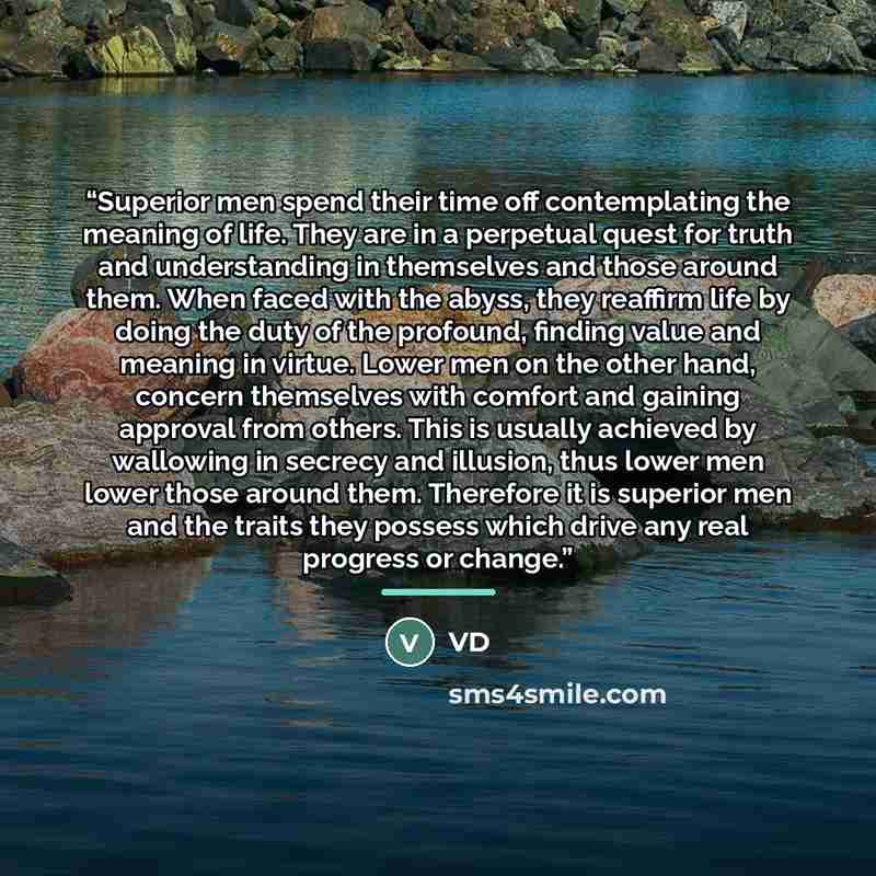 “Superior men spend their time off contemplating the meaning of life. They are in a perpetual quest for truth and understanding in themselves and those around them. When faced with the abyss, they reaffirm life by doing the duty of the profound, finding value and meaning in virtue. Lower men on the…” quote by VD