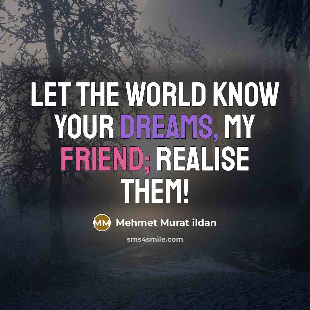 “Let the world know your dreams, my friend; realise them!” quote by Mehmet Murat Ildan