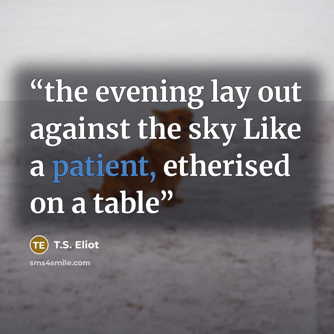 “the evening lay out against the sky Like a patient, etherised on a table” quote by T.S. Eliot