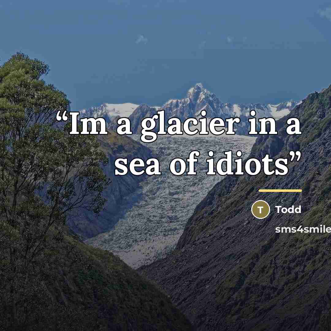 “Im a glacier in a sea of idiots” quote by Todd