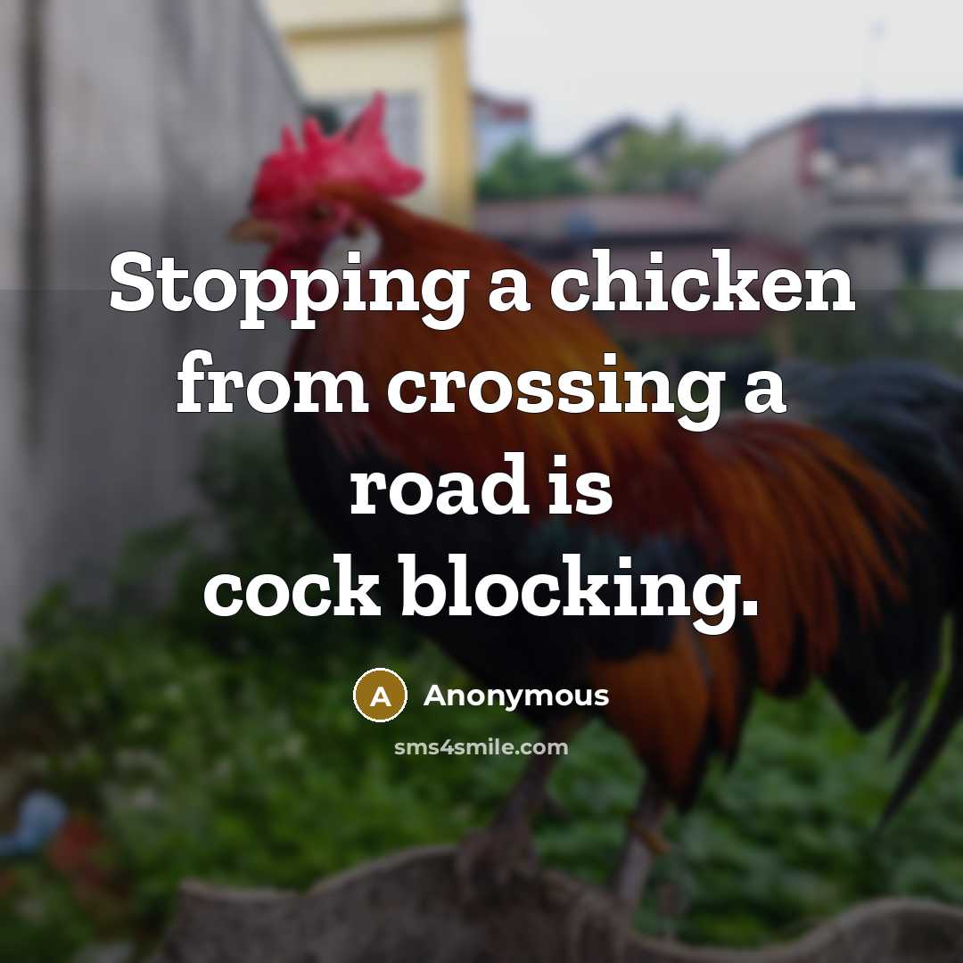 “Stopping a chicken from crossing a road is cock blocking.” quote by Anonymous