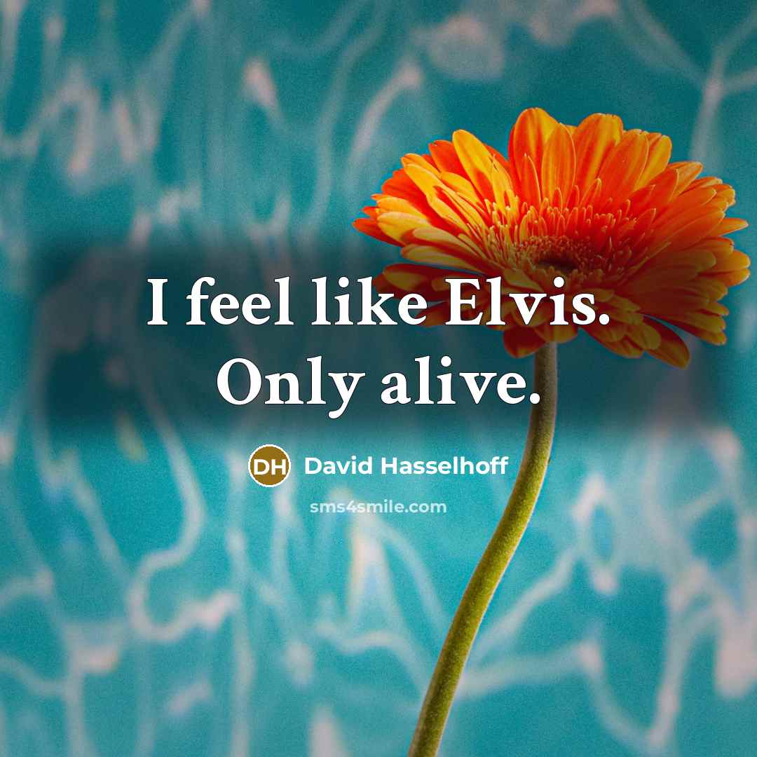 “I feel like Elvis. Only alive.” quote by David Hasselhoff