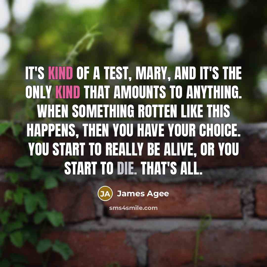 “It's kind of a test, Mary, and it's the only kind that amounts to anything. When something rotten like this happens, then you have your choice. You start to really be alive, or you start to die. That's all.” quote by James Agee
