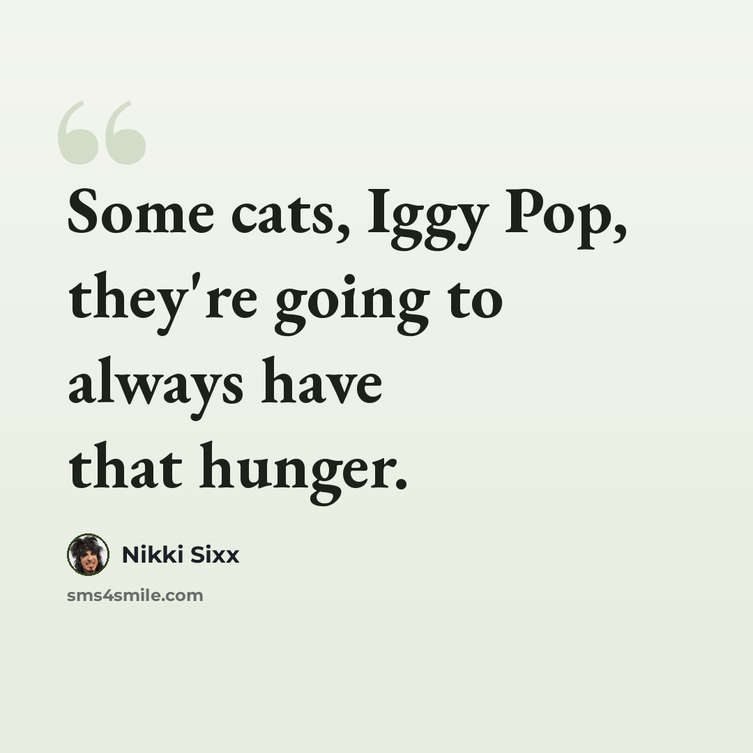 “Some cats, Iggy Pop, they're going to always have that hunger.” quote by Nikki Sixx