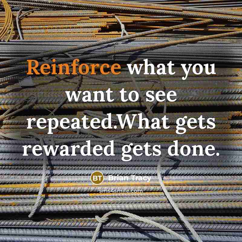 “Reinforce what you want to see repeated.What gets rewarded gets done.” quote by Brian Tracy