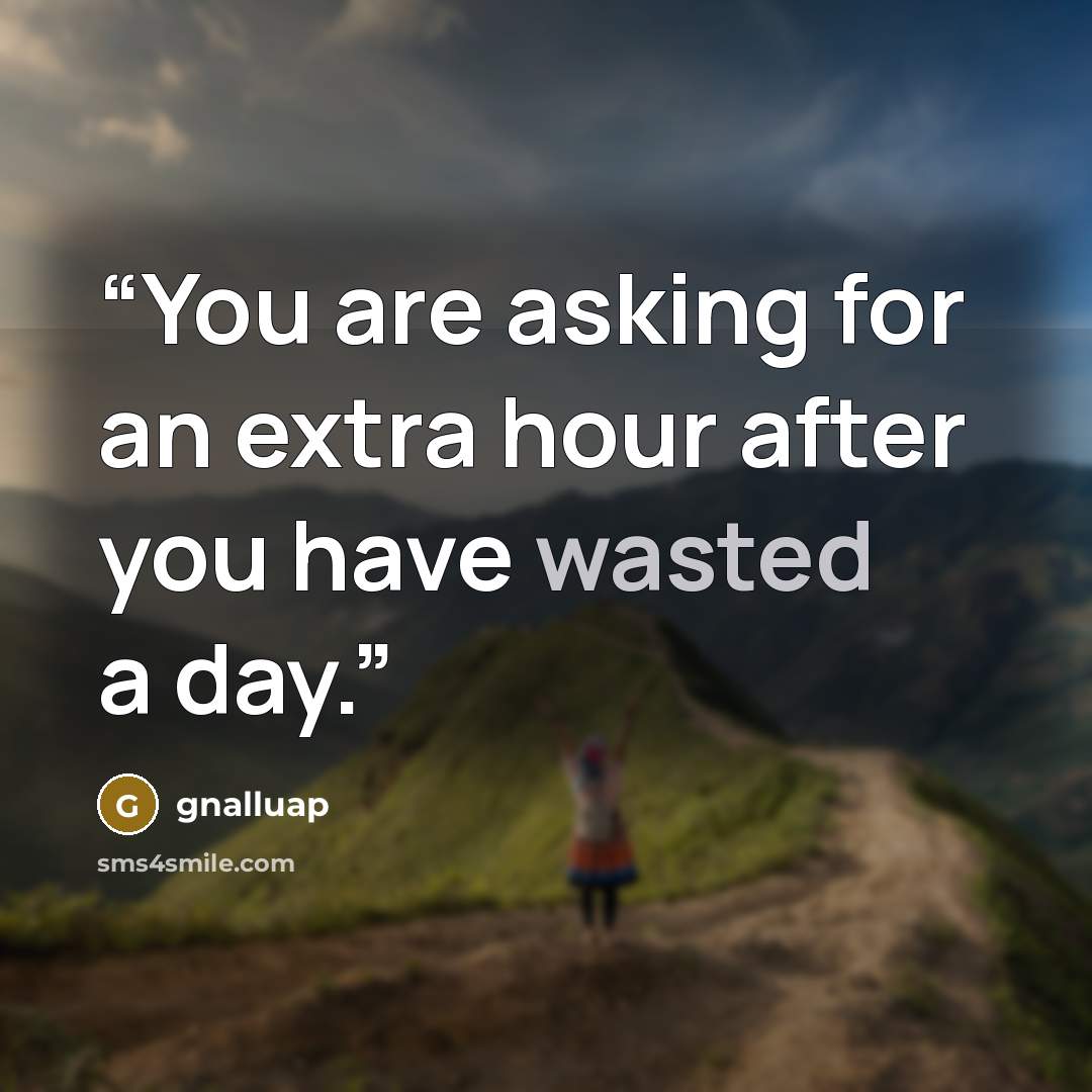 “You are asking for an extra hour after you have wasted a day.” quote by gnalluap
