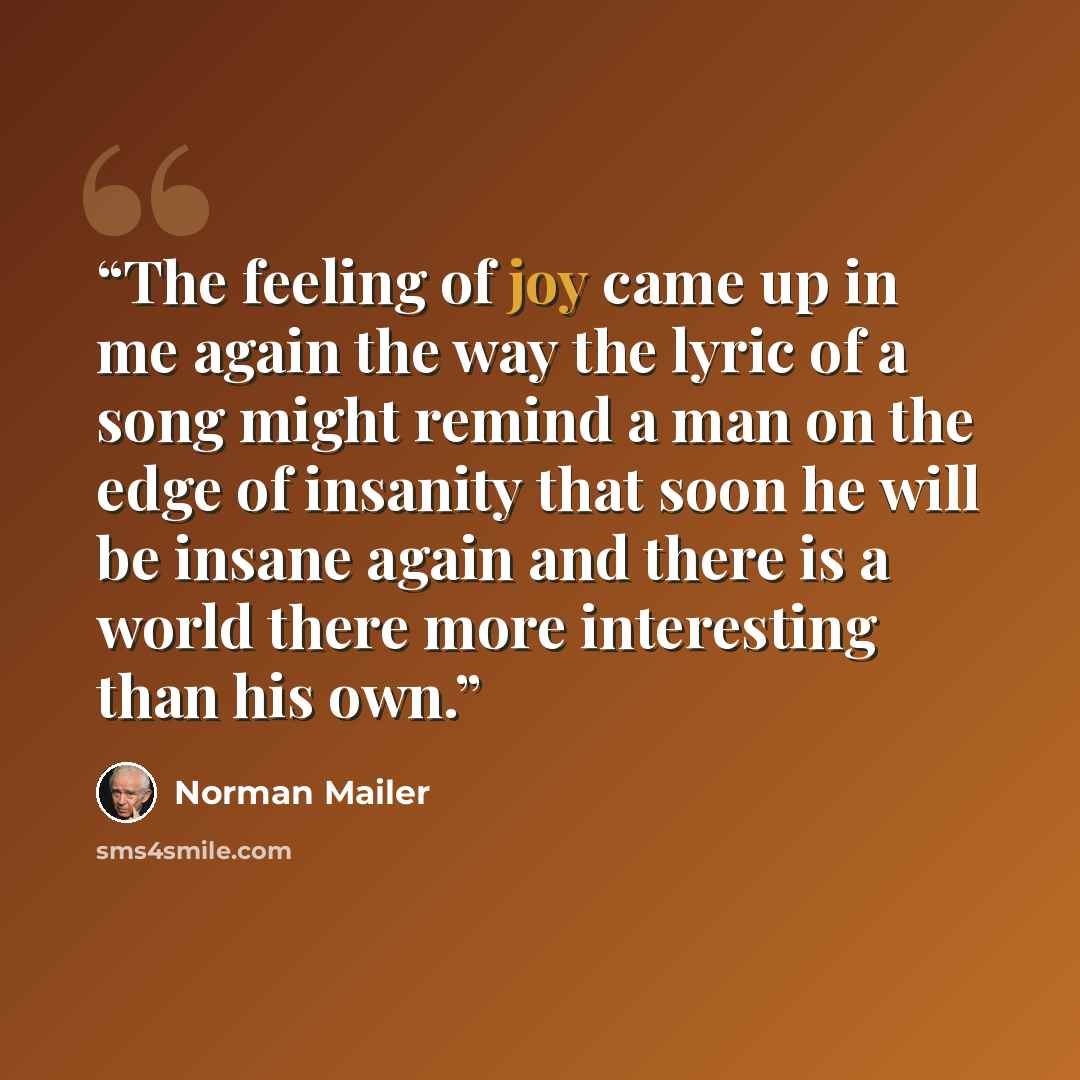 “The feeling of joy came up in me again the way the lyric of a song might remind a man on the edge of insanity that soon he will be insane again and there is a world there more interesting than his own.” quote by Norman Mailer