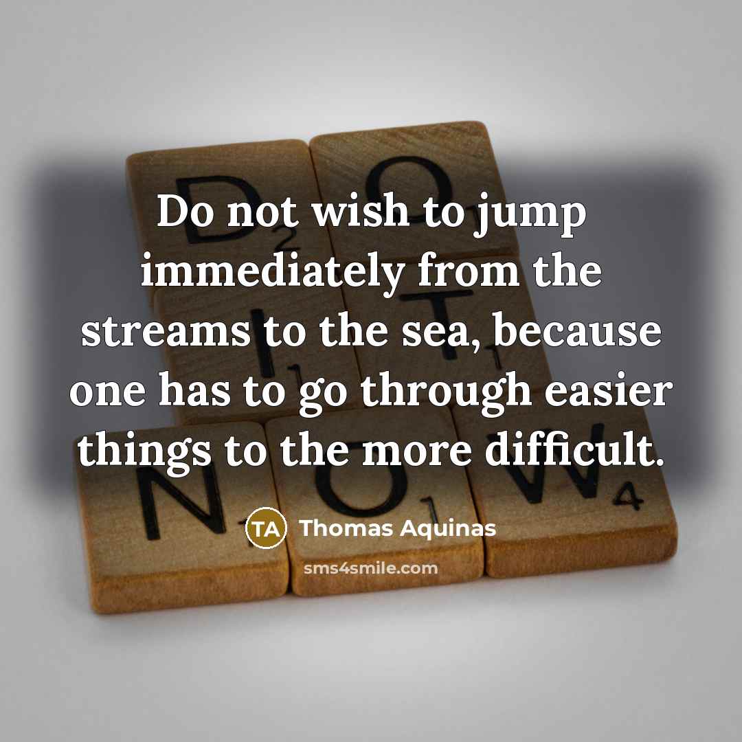 “Do not wish to jump immediately from the streams to the sea, because one has to go through easier things to the more difficult.” quote by Thomas Aquinas