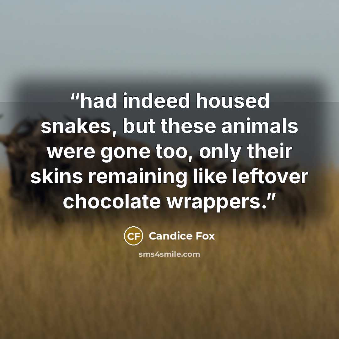 “had indeed housed snakes, but these animals were gone too, only their skins remaining like leftover chocolate wrappers.” quote by Candice Fox
