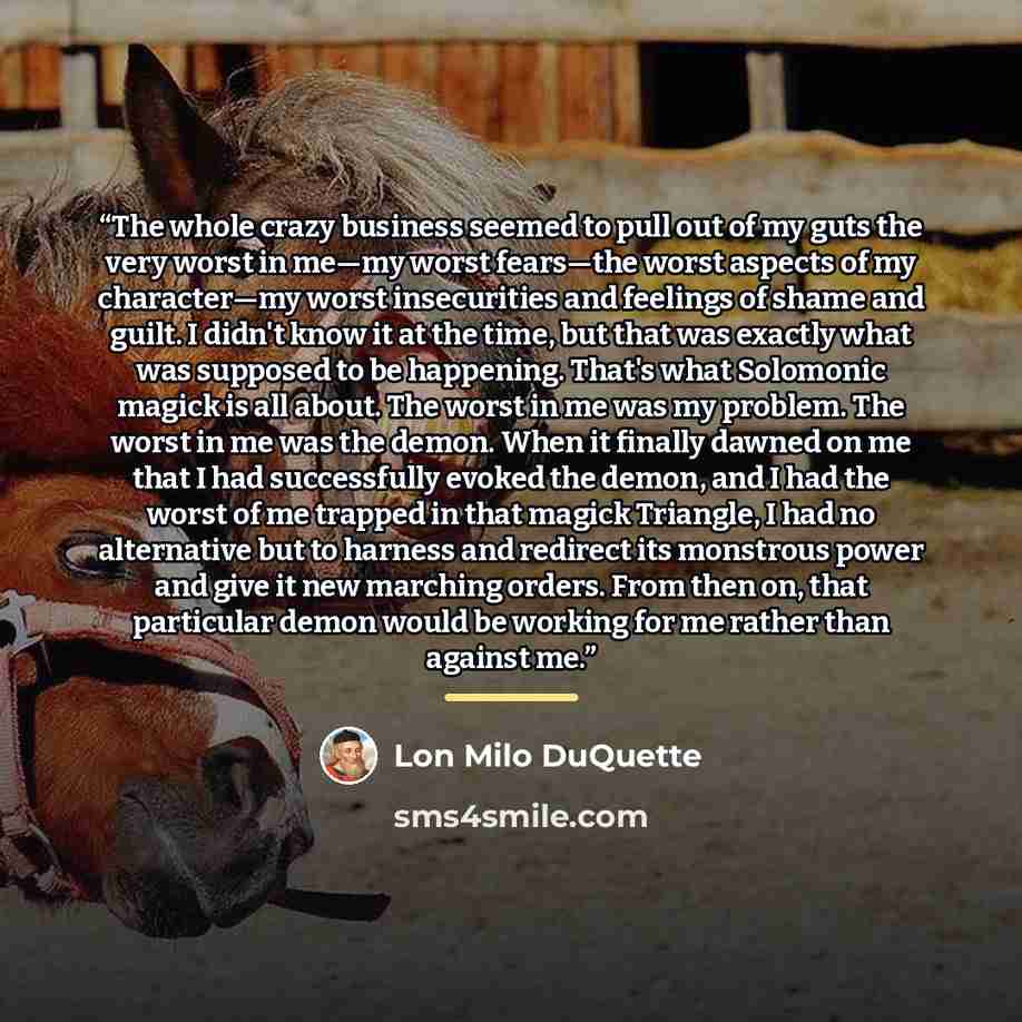 “The whole crazy business seemed to pull out of my guts the very worst in me—my worst fears—the worst aspects of my character—my worst insecurities and feelings of shame and guilt. I didn't know it at the time, but that was exactly what was supposed to be happening. That's what Solomonic magick is…” quote by Lon Milo DuQuette