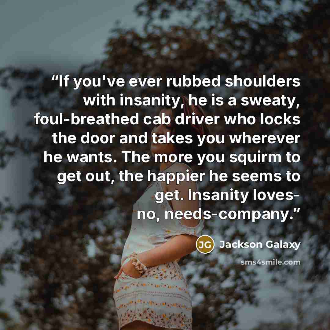 “If you've ever rubbed shoulders with insanity, he is a sweaty, foul-breathed cab driver who locks the door and takes you wherever he wants. The more you squirm to get out, the happier he seems to get. Insanity loves- no, needs-company.” quote by Jackson Galaxy