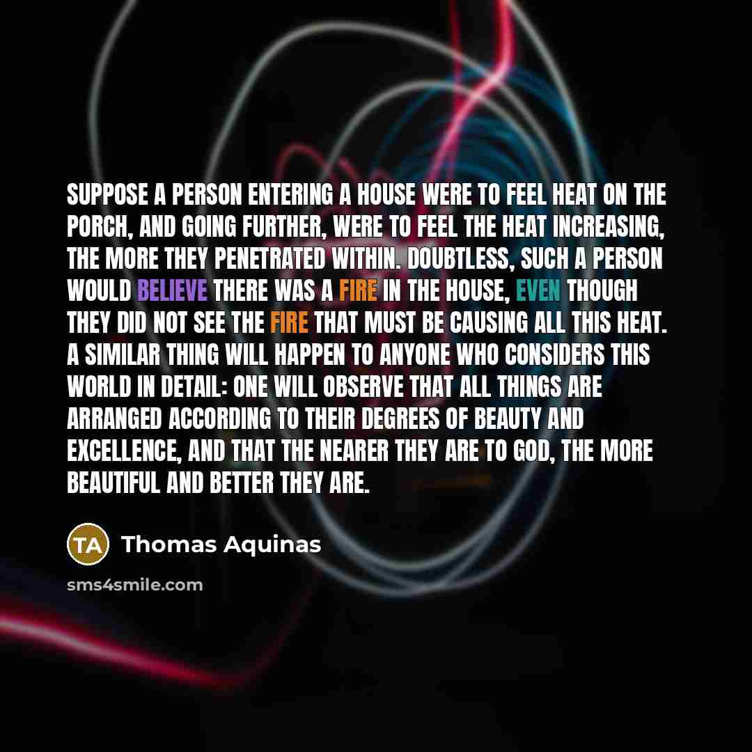 “Suppose a person entering a house were to feel heat on the porch, and going further, were to feel the heat increasing, the more they penetrated within. Doubtless, such a person would believe there was a fire in the house, even though they did not see the fire that must be causing all this heat. A…” quote by Thomas Aquinas
