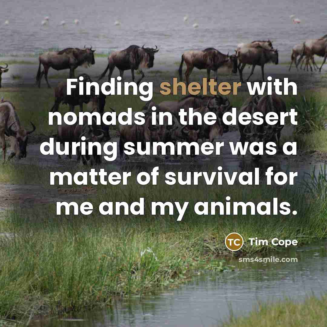 “Finding shelter with nomads in the desert during summer was a matter of survival for me and my animals.” quote by Tim Cope