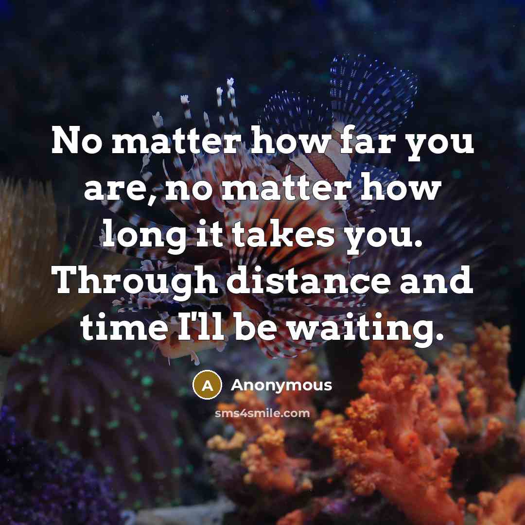 “No matter how far you are, no matter how long it takes you. Through distance and time I'll be waiting.” quote by Anonymous
