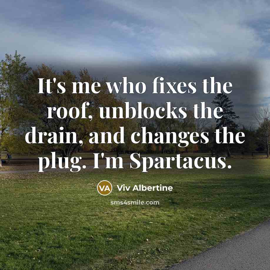 “It's me who fixes the roof, unblocks the drain, and changes the plug. I'm Spartacus.” quote by Viv Albertine