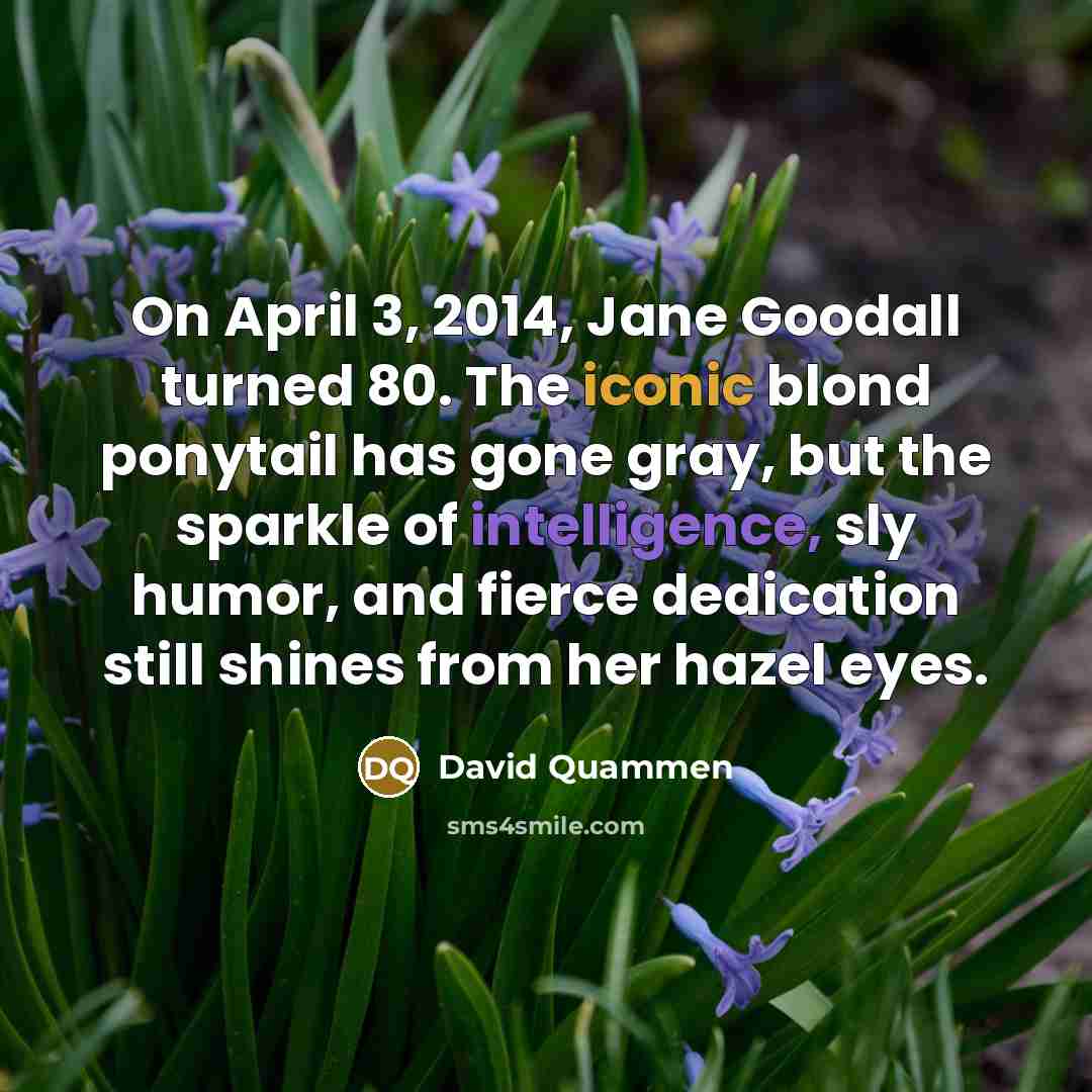 “On April 3, 2014, Jane Goodall turned 80. The iconic blond ponytail has gone gray, but the sparkle of intelligence, sly humor, and fierce dedication still shines from her hazel eyes.” quote by David Quammen