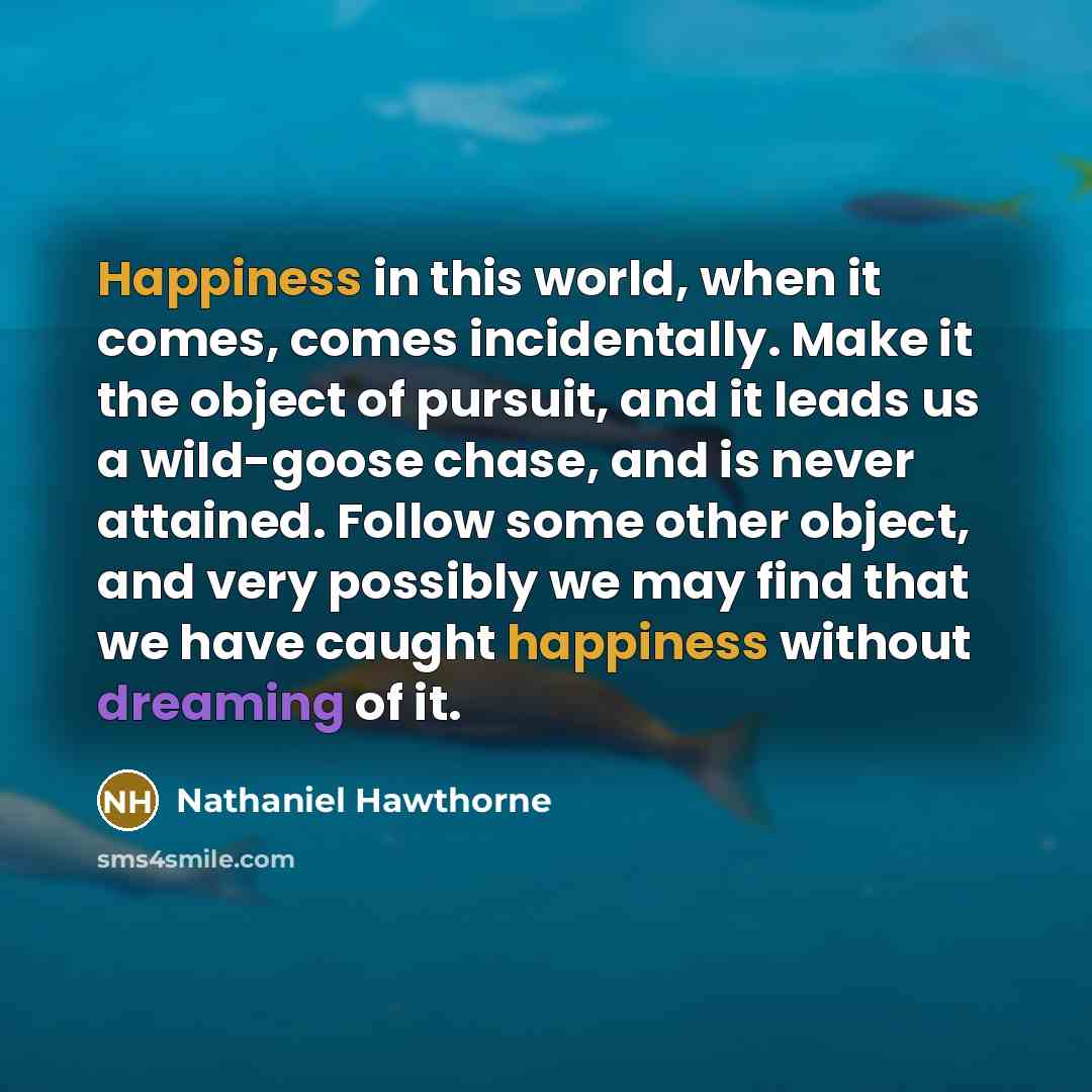 “Happiness in this world, when it comes, comes incidentally. Make it the object of pursuit, and it leads us a wild-goose chase, and is never attained. Follow some other object, and very possibly we may find that we have caught happiness without dreaming of it.” quote by Nathaniel Hawthorne