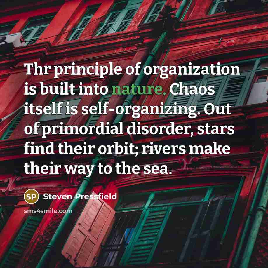 “Thr principle of organization is built into nature. Chaos itself is self-organizing. Out of primordial disorder, stars find their orbit; rivers make their way to the sea.” quote by Steven Pressfield