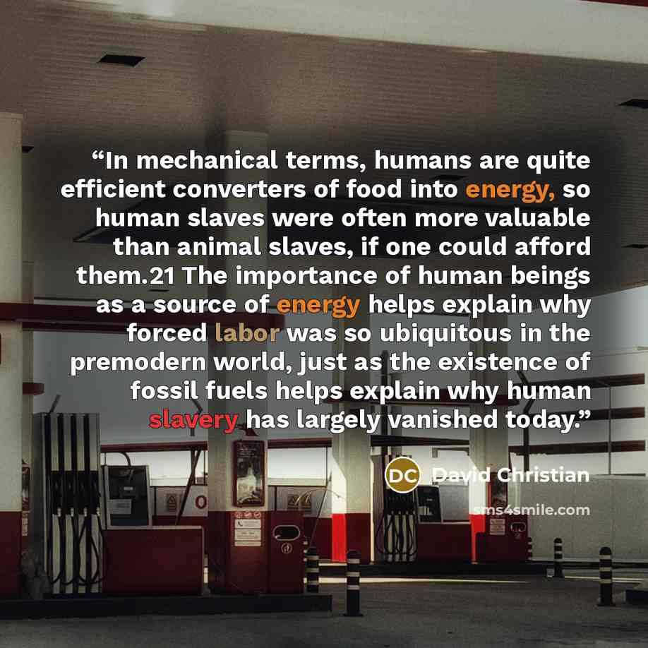 “In mechanical terms, humans are quite efficient converters of food into energy, so human slaves were often more valuable than animal slaves, if one could afford them.21 The importance of human beings as a source of energy helps explain why forced labor was so ubiquitous in the premodern world…” quote by David Christian