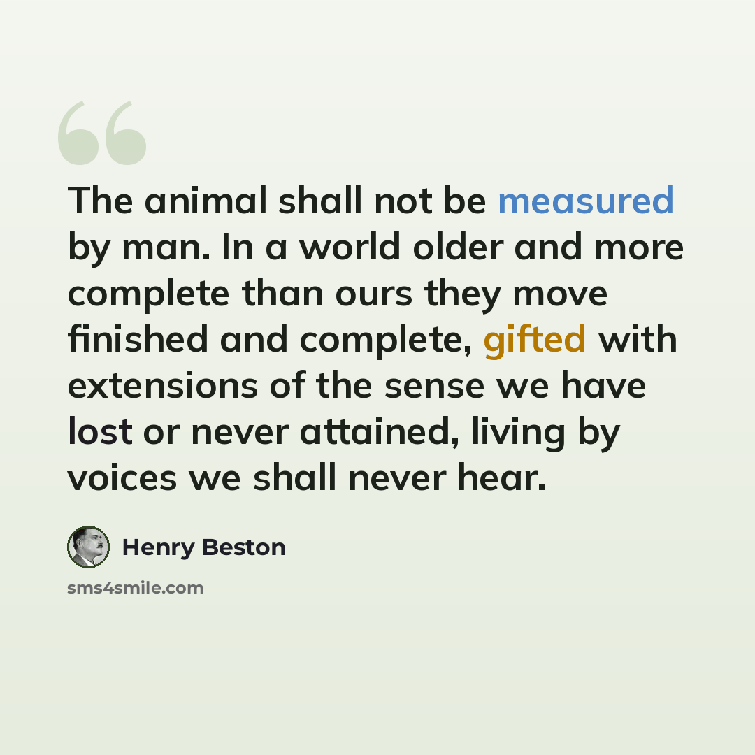 “The animal shall not be measured by man. In a world older and more complete than ours they move finished and complete, gifted with extensions of the sense we have lost or never attained, living by voices we shall never hear.” quote by Henry Beston