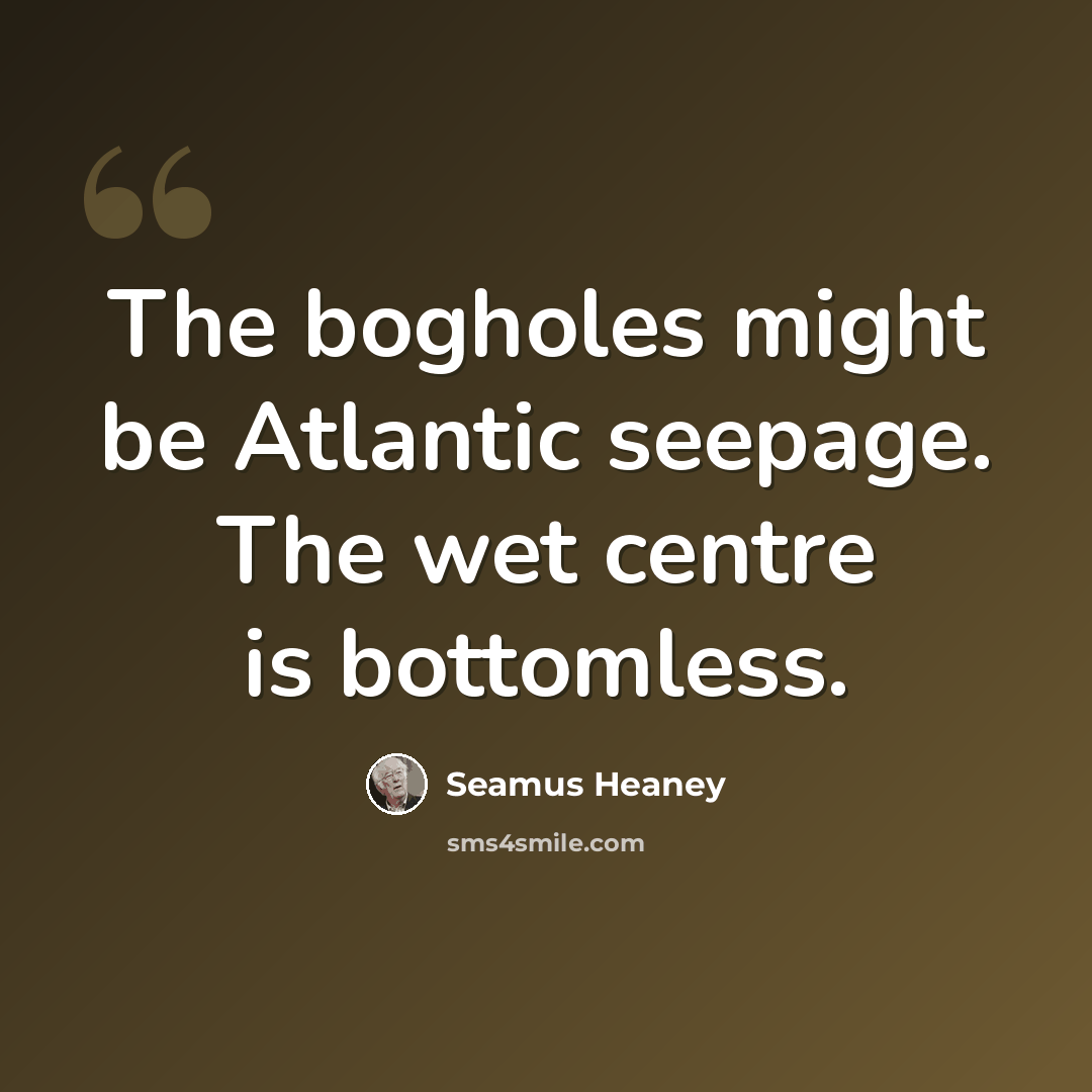 “The bogholes might be Atlantic seepage. The wet centre is bottomless.” quote by Seamus Heaney