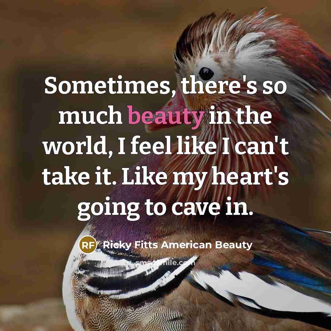 “Sometimes, there's so much beauty in the world, I feel like I can't take it. Like my heart's going to cave in.” quote by Ricky Fitts American Beauty
