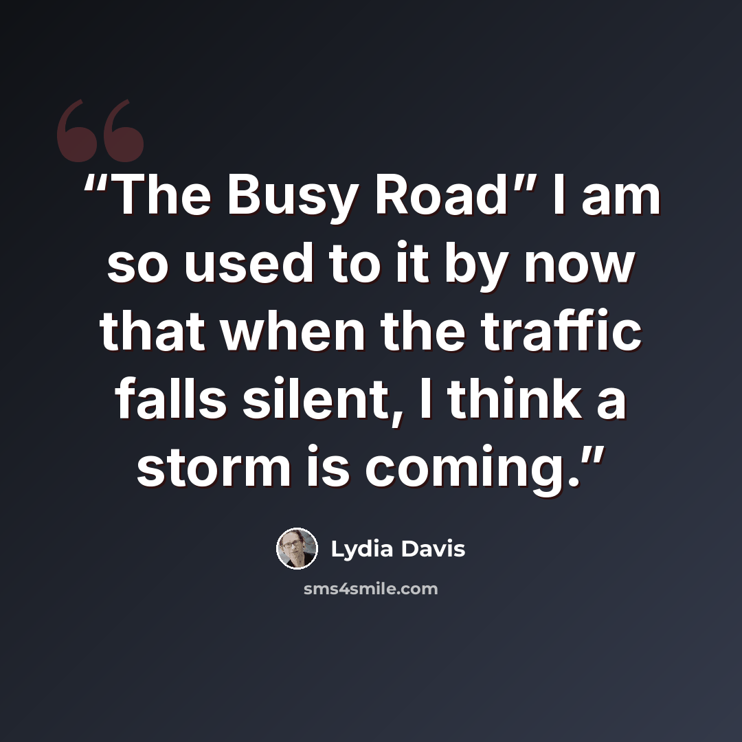 “The Busy Road” I am so used to it by now that when the traffic falls silent, I think a storm is coming.” quote by Lydia Davis