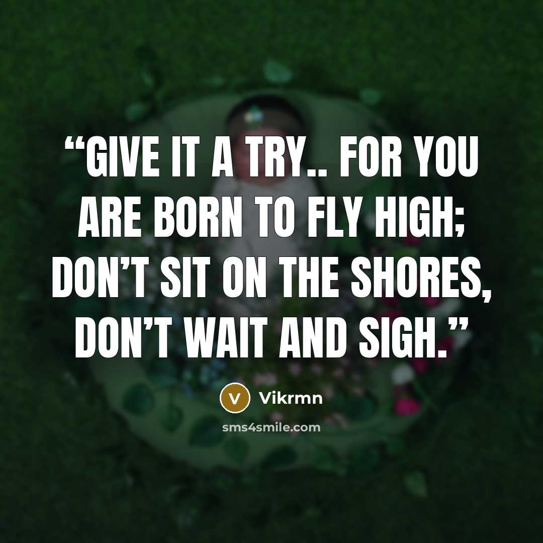 “Give it a try.. for you are born to fly high; don’t sit on the shores, don’t wait and sigh.” quote by Vikrmn