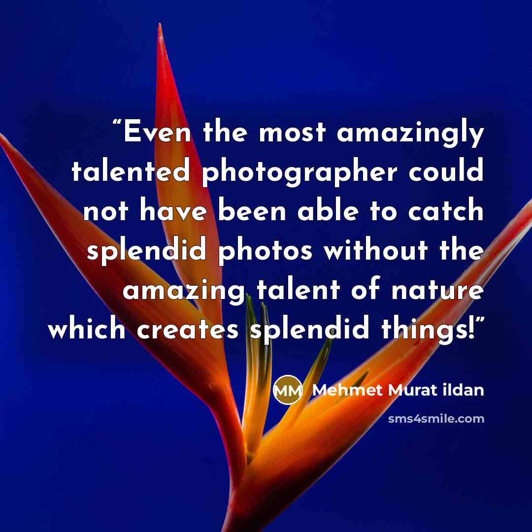 “Even the most amazingly talented photographer could not have been able to catch splendid photos without the amazing talent of nature which creates splendid things!” quote by Mehmet Murat ildan