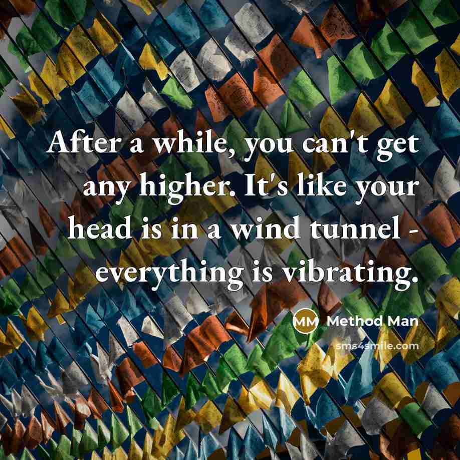 “After a while, you can't get any higher. It's like your head is in a wind tunnel - everything is vibrating.” quote by Method Man
