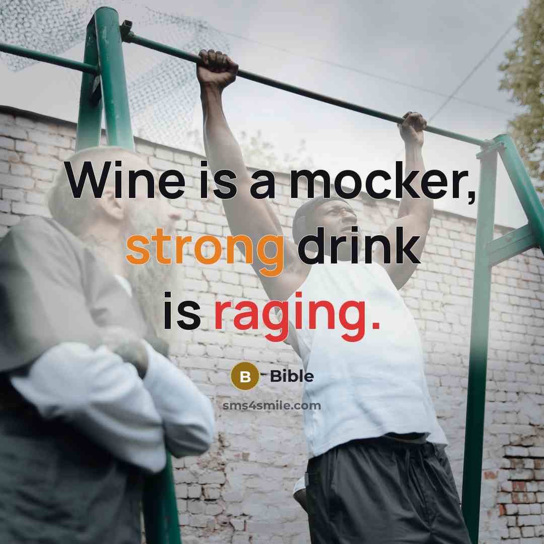 “Wine is a mocker, strong drink is raging.” quote by Bible