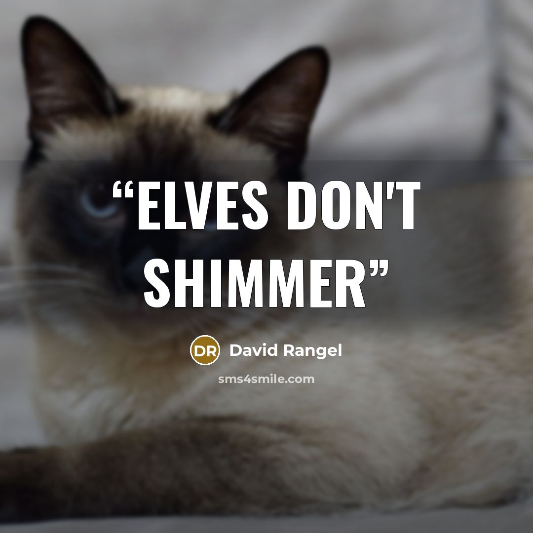 “Elves don't shimmer” quote by David Rangel