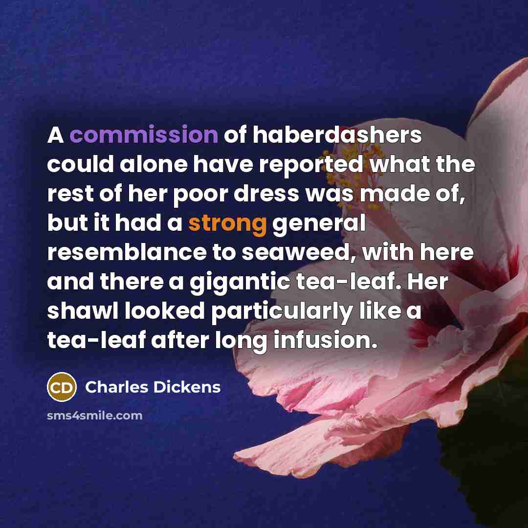 “A commission of haberdashers could alone have reported what the rest of her poor dress was made of, but it had a strong general resemblance to seaweed, with here and there a gigantic tea-leaf. Her shawl looked particularly like a tea-leaf after long infusion.” quote by Charles Dickens
