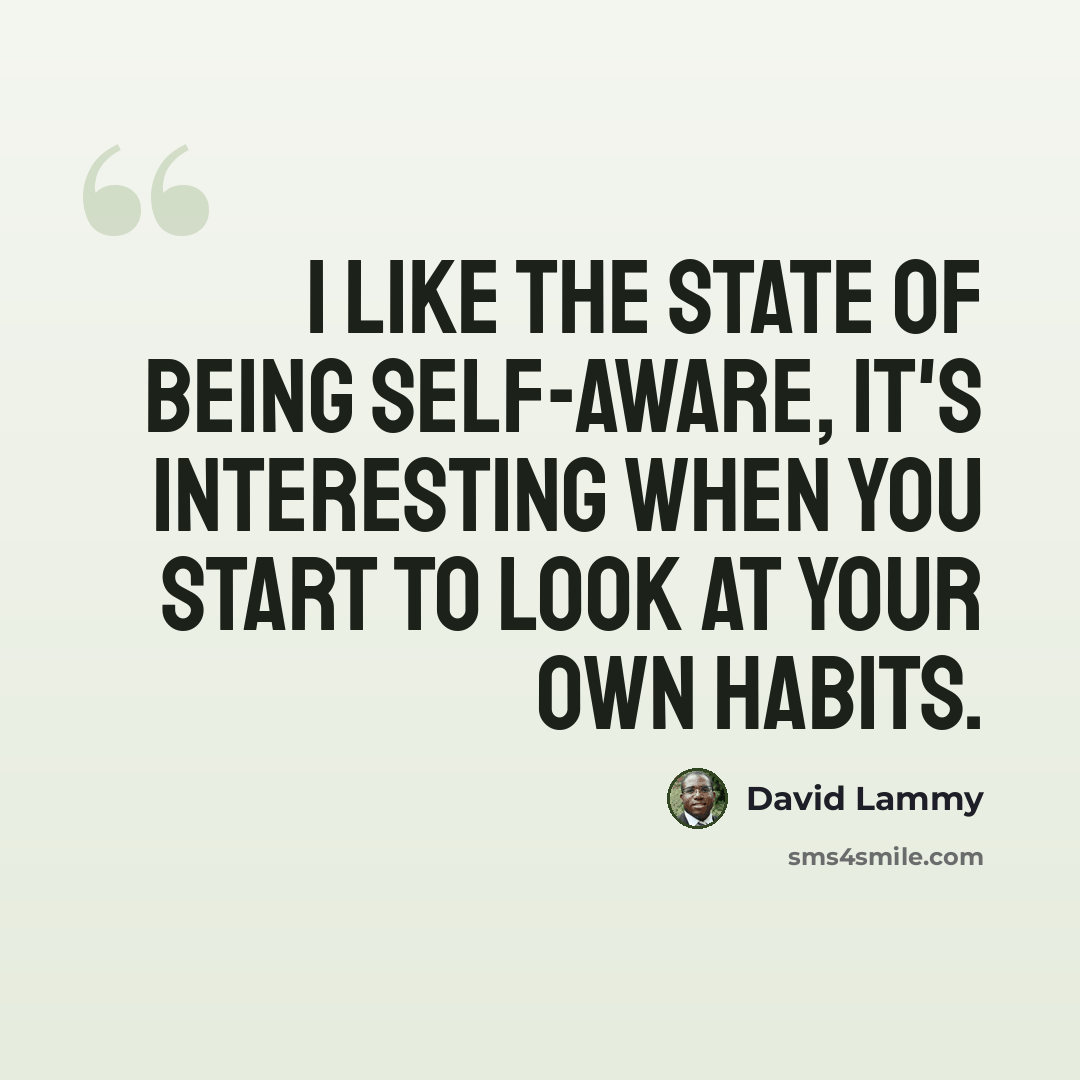 “I like the state of being self-aware, it's interesting when you start to look at your own habits.” quote by David Lammy