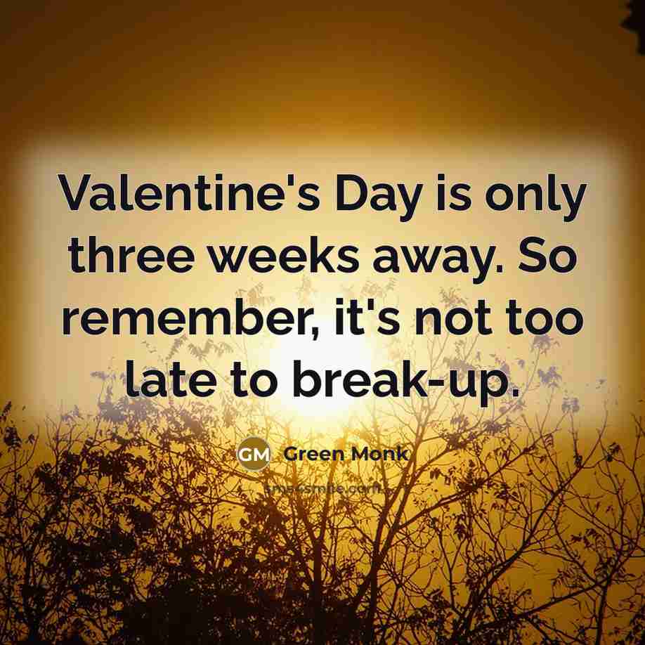 “Valentine's Day is only three weeks away. So remember, it's not too late to break-up.” quote by Green Monk