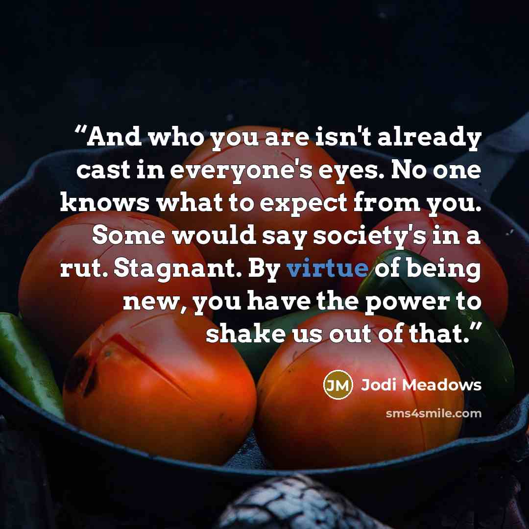 “And who you are isn't already cast in everyone's eyes. No one knows what to expect from you. Some would say society's in a rut. Stagnant. By virtue of being new, you have the power to shake us out of that.” quote by Jodi Meadows