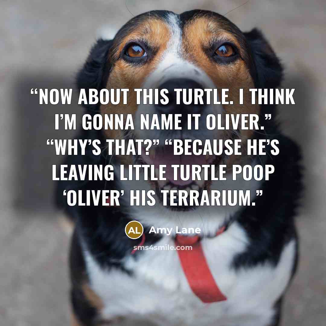 “Now about this turtle. I think I’m gonna name it Oliver.” “Why’s that?” “Because he’s leaving little turtle poop ‘Oliver’ his terrarium.” quote by Amy Lane