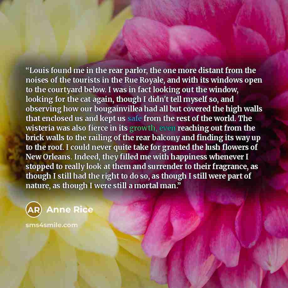 “Louis found me in the rear parlor, the one more distant from the noises of the tourists in the Rue Royale, and with its windows open to the courtyard below. I was in fact looking out the window, looking for the cat again, though I didn't tell myself so, and observing how our bougainvillea had all…” quote by Anne Rice