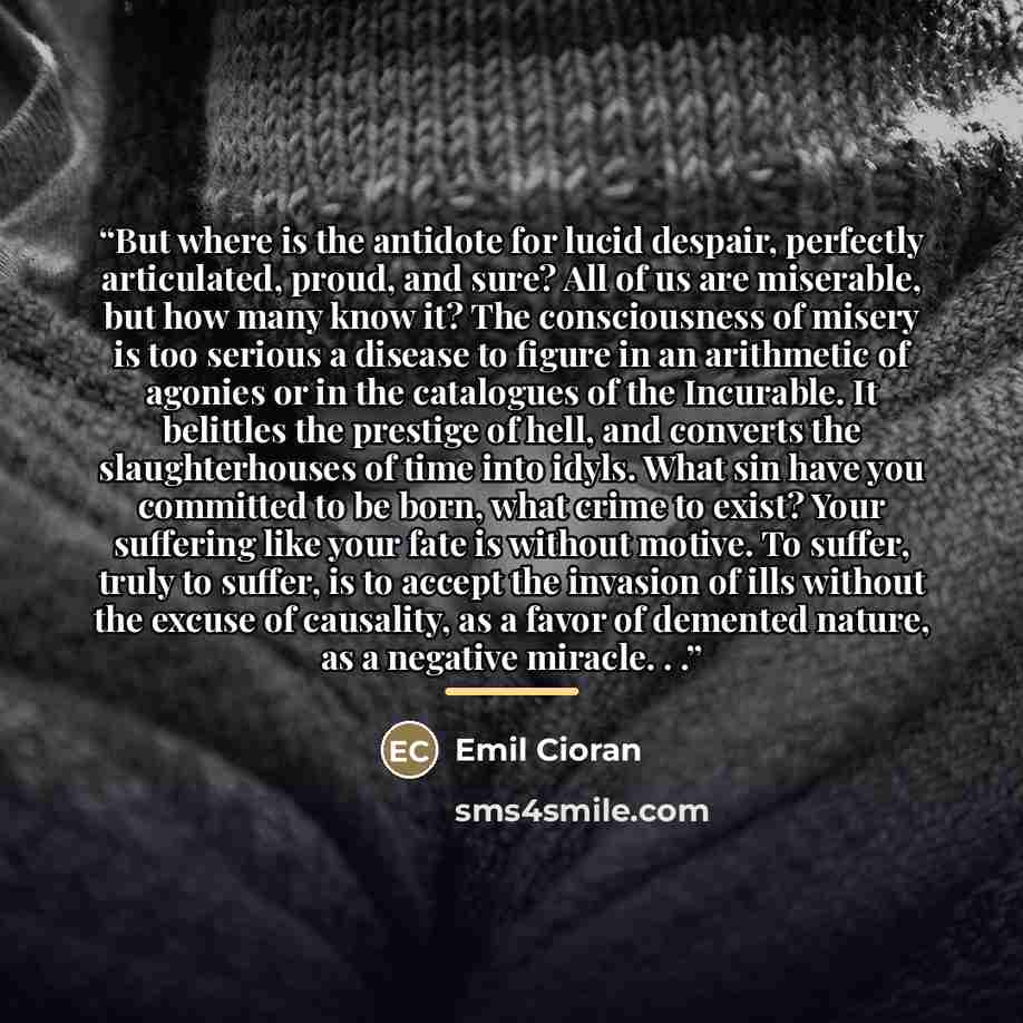 “But where is the antidote for lucid despair, perfectly articulated, proud, and sure? All of us are miserable, but how many know it? The consciousness of misery is too serious a disease to figure in an arithmetic of agonies or in the catalogues of the Incurable. It belittles the prestige of hell…” quote by Emil Cioran