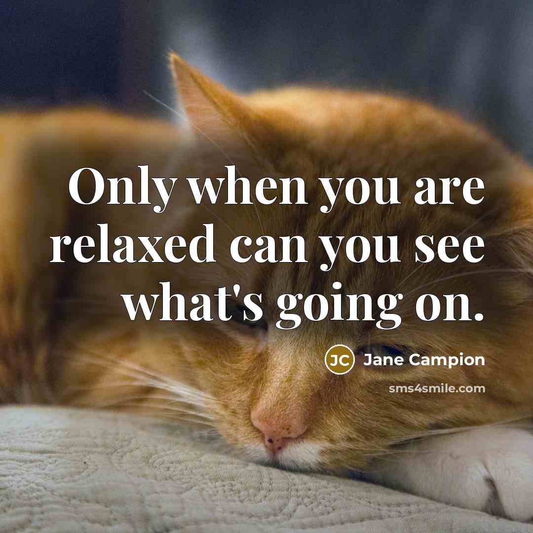 “Only when you are relaxed can you see what's going on.” quote by Jane Campion